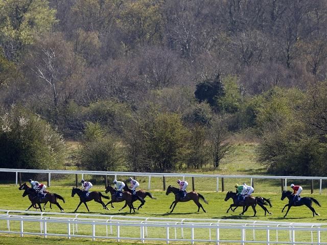 We're racing at Epsom (pictured) and Ffos Las this evening